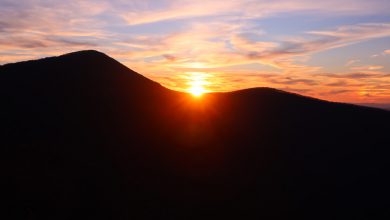 Photo of Energia rinnovabile, in Virginia le miniere di carbone abbandonate diventano parchi solari