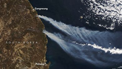 Photo of Corea del Sud, incendi lungo la costa orientale: 7mila persone evacuate