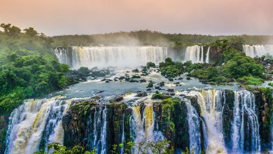 Photo of Amazzonia, deforestazione record per il secondo mese di fila in Brasile