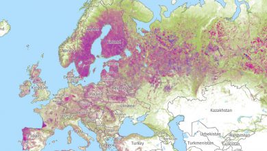 Photo of Deforestazione, nel 2021 i Tropici hanno perso 10 campi da calcio ogni minuto di foreste primarie