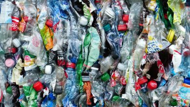 Photo of Plastica, Greenpeace: “la produzione potrebbe raddoppiare nei prossimi 10 anni”