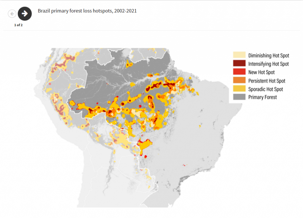deforestazione brasile