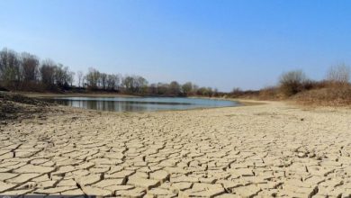 Photo of Emergenza siccità, da inizio anno 20 miliardi di metri cubi d’acqua in meno del normale