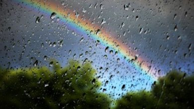 Photo of Maggio al via con una fase instabile: rovesci e temporali in sviluppo sull’Italia. Ecco dove