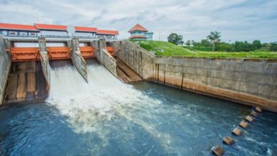 Photo of Via le dighe dai fiumi, nel 2021 record di rimozioni in Europa: un passo in avanti per salvare la biodiversità