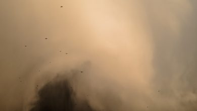 Photo of Medio Oriente travolto dall’ennesima tempesta di sabbia: ricoveri in Iraq