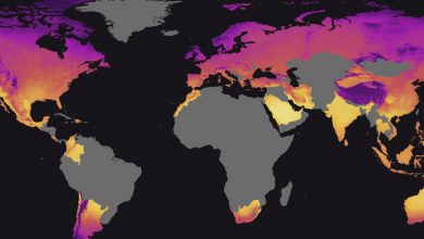 Photo of Meno ore di sonno a causa del caldo: cosa succederà in futuro con la crisi climatica?