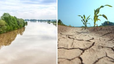 Photo of L’impronta dell’uomo sul rischio siccità e alluvioni: ecco come stanno cambiando le piogge in Europa