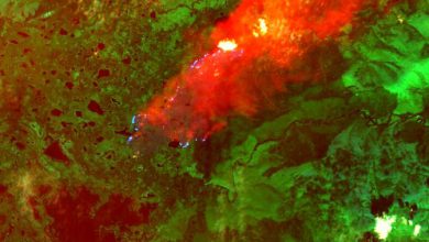 Photo of Incendi record nella tundra in Alaska: mai così tanti ettari in fumo a giugno