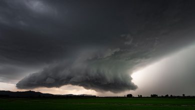 Photo of Forti temporali, grandine e vento, ma nessuna tromba d’aria: ecco cos’è successo
