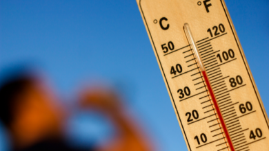 Photo of Caldo estremo nei prossimi giorni: anche Milano e Roma rischiano i 40 gradi, possibili nuovi record