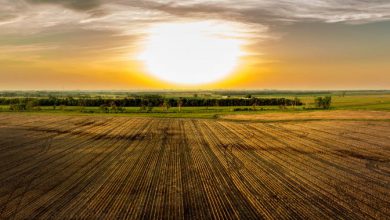 Photo of Siccità, la prima metà del 2022 è la più secca della serie storica