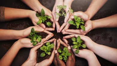 Photo of Overshoot Day: da qui a fine 2022 siamo in debito ecologico con il Pianeta