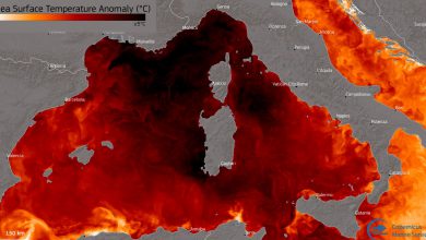 Photo of Mediterraneo caldo, mare bollente attorno all’Italia: raggiunti addirittura i 30 gradi
