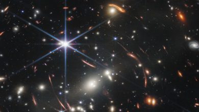 Photo of Premio Nobel per la Fisica 2025: scoperta rivoluzionaria nella meccanica quantistica