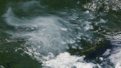 Photo of Vasti incendi in Siberia: il fumo ha raggiunto l’Artico