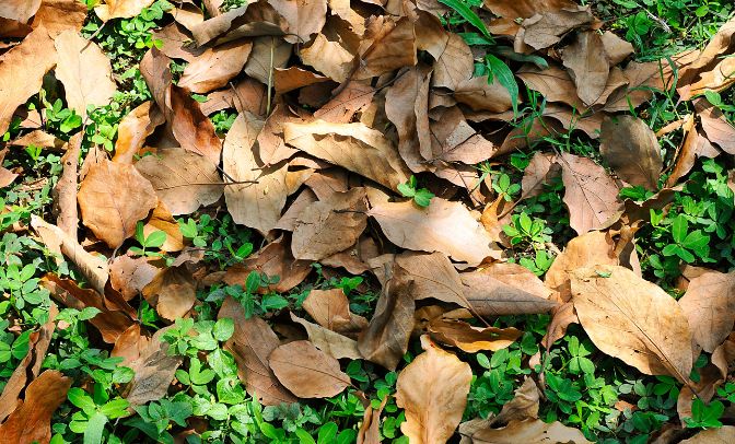finto autunno siccità caldo