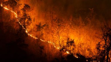 Photo of Giappone: continua l’emergenza incendi. Complici le condizioni meteo secche e ventose