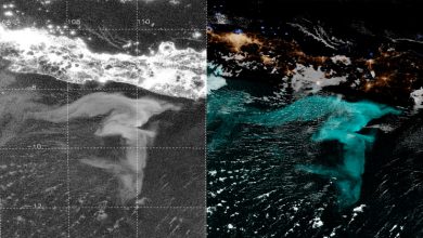 Photo of In barca sulla neve: fotografato per la prima volta il fenomeno del mare lattiginoso