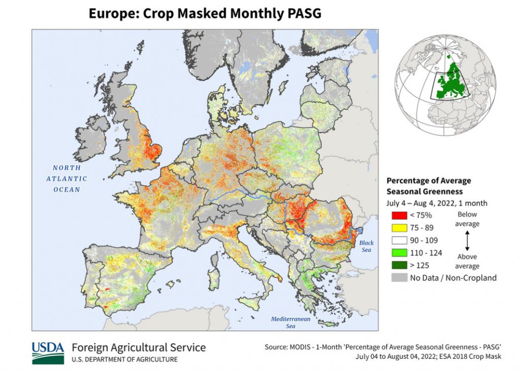 finto autunno siccità foglie secche