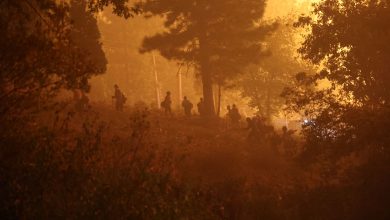 Photo of California alle prese con vasti incendi: Mosquito Fire fuori controllo