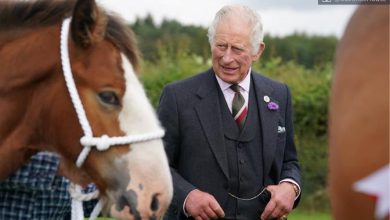 Photo of Re Carlo dalla parte del clima e dell’ambiente. Cosa cambia per il Regno Unito?