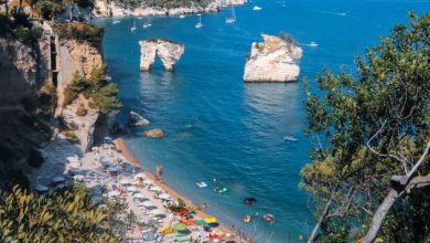 Photo of In agosto temperature meno estreme: il 2022 rischia ancora di essere l’anno più caldo per l’Italia? L’analisi del meteorologo