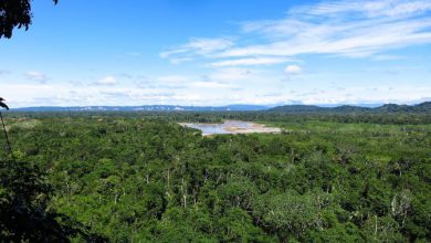 Photo of Foresta Amazzonica in Brasile, ma così tanti incendi ad agosto dal 2010