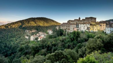 Photo of Spighe Verdi, il programma che premia lo sviluppo rurale sostenibile dei Comuni Italiani
