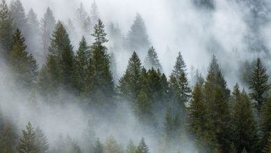 Photo of Correnti occidentali