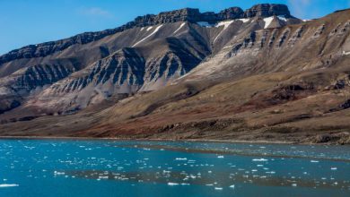 Photo of Clima, i punti di non ritorno della crisi climatica sono sempre più vicini