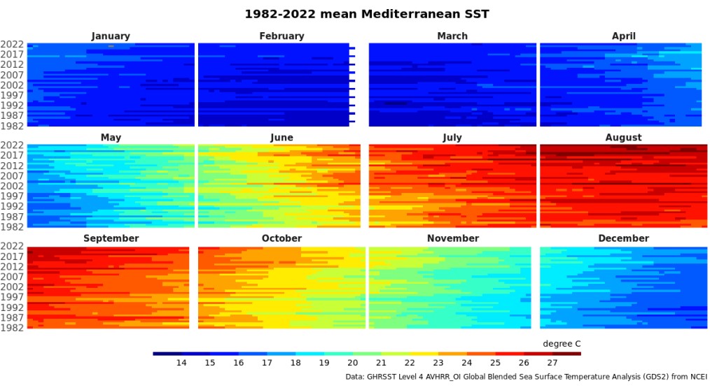 ondata di caldo mediterraneo estate 2022