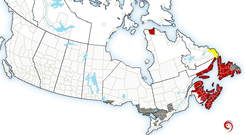 allerta rossa in canada