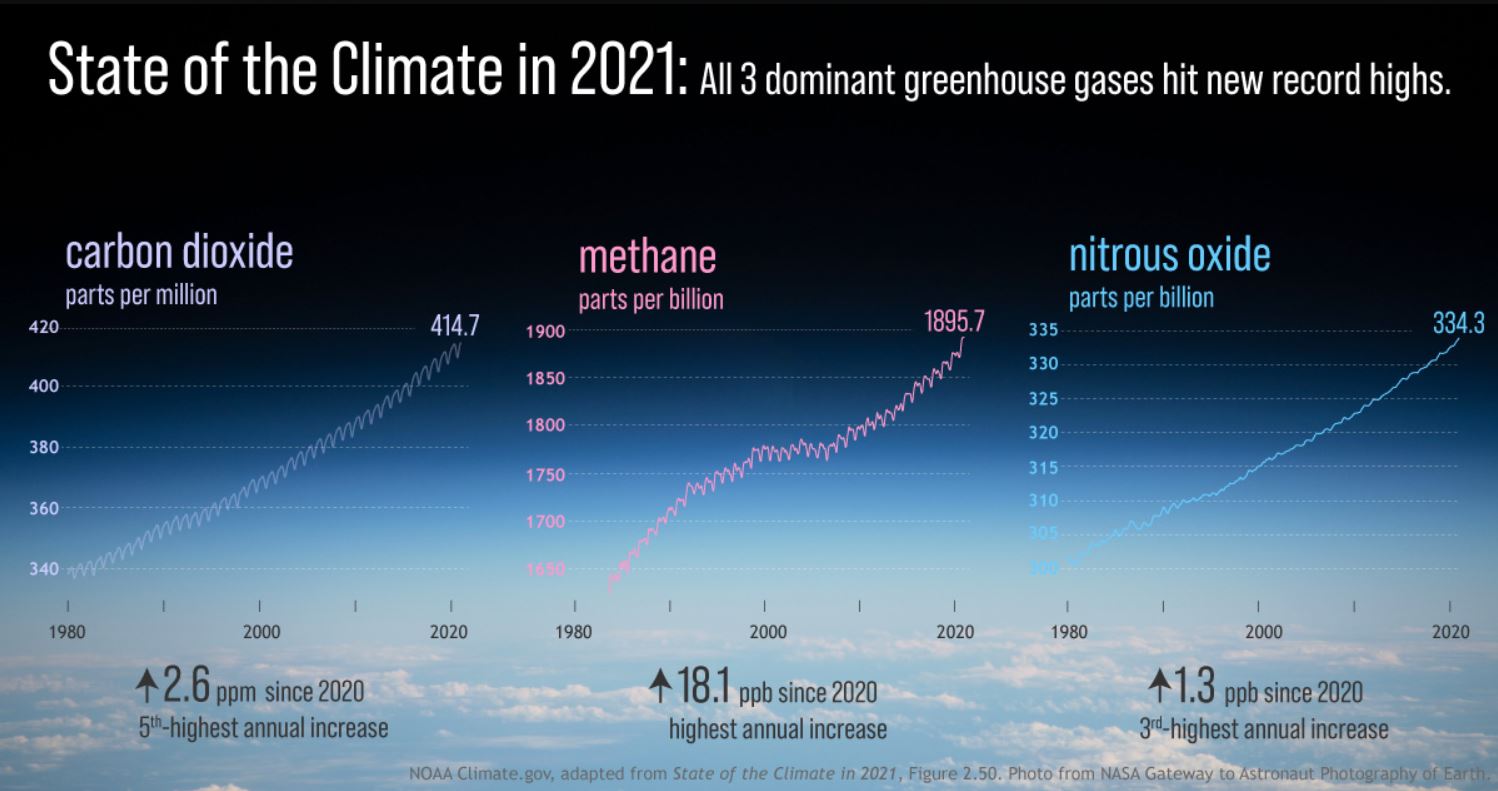 cambiamento climatico
