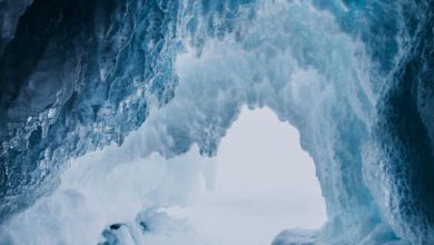 Photo of Dal ghiaccio virus di migliaia di anni fa: sarà il riscaldamento globale il responsabile della prossima pandemia?