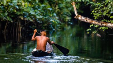 Photo of Amazzonia, emissioni di carbonio più che raddoppiate nel 2019 e 2020