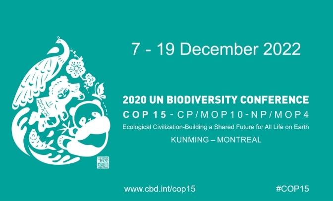 biodiversità cop15