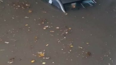 Photo of Maltempo, terribile frana a Ischia: auto trascinate fino al mare e diversi dispersi