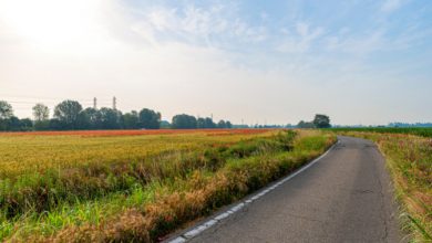 Photo of Adattamento, annunciato un progetto per contrastare gli effetti dei cambiamenti climatici nell’hinterland di Milano