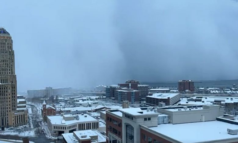 neve buffalo