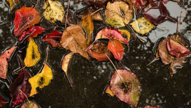 Photo of Meteo, perturbazione in arrivo: le zone coinvolte