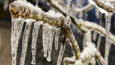 Photo of Freddo, neve e gelicidio: attenzione al ghiaccio nero. Ecco cos’è e perché è pericoloso
