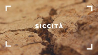Photo of 2022, un anno di siccità al Nord-Ovest: a Torino, Milano e Genova è caduta meno della metà della pioggia normale
