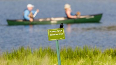 Photo of Le Aree Protette sono una buona idea? Le posizioni al confronto