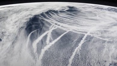 Photo of Sotto un cielo bianco