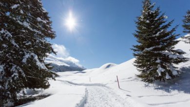 Photo of Fino a Capodanno anticiclone protagonista, ma con qualche disturbo: ecco dove arriva la pioggia