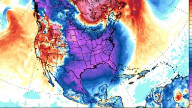 Photo of Natale sotto una tempesta di gelo e neve negli Stati Uniti: violente bufere e mareggiate