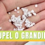 nevischio graupel cosa sono