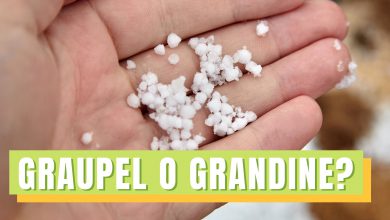 Photo of Neve, nevischio o graupel: che differenza c’è? Risponde l’esperto