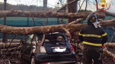 Photo of Maltempo, Napoli e Roma bersagliate: tromba d’aria a Valmontone